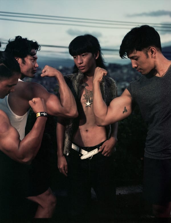 Cent ans de bombardements aériens. Histoire d’une technique militaire et politique.